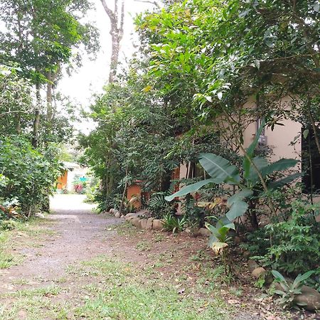Casitas Del Bosque Monteverde. Номер фото