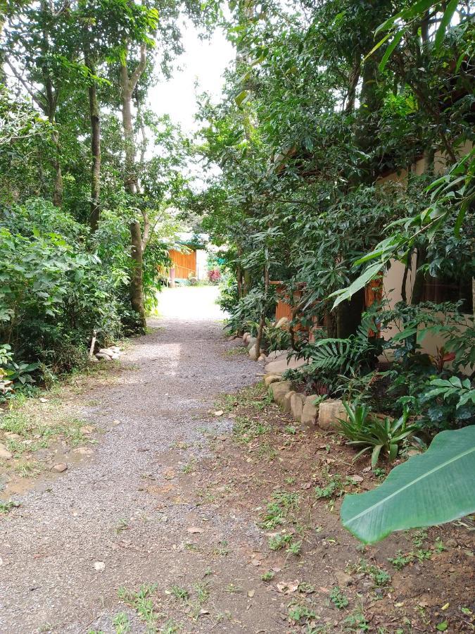Casitas Del Bosque Monteverde. Екстер'єр фото